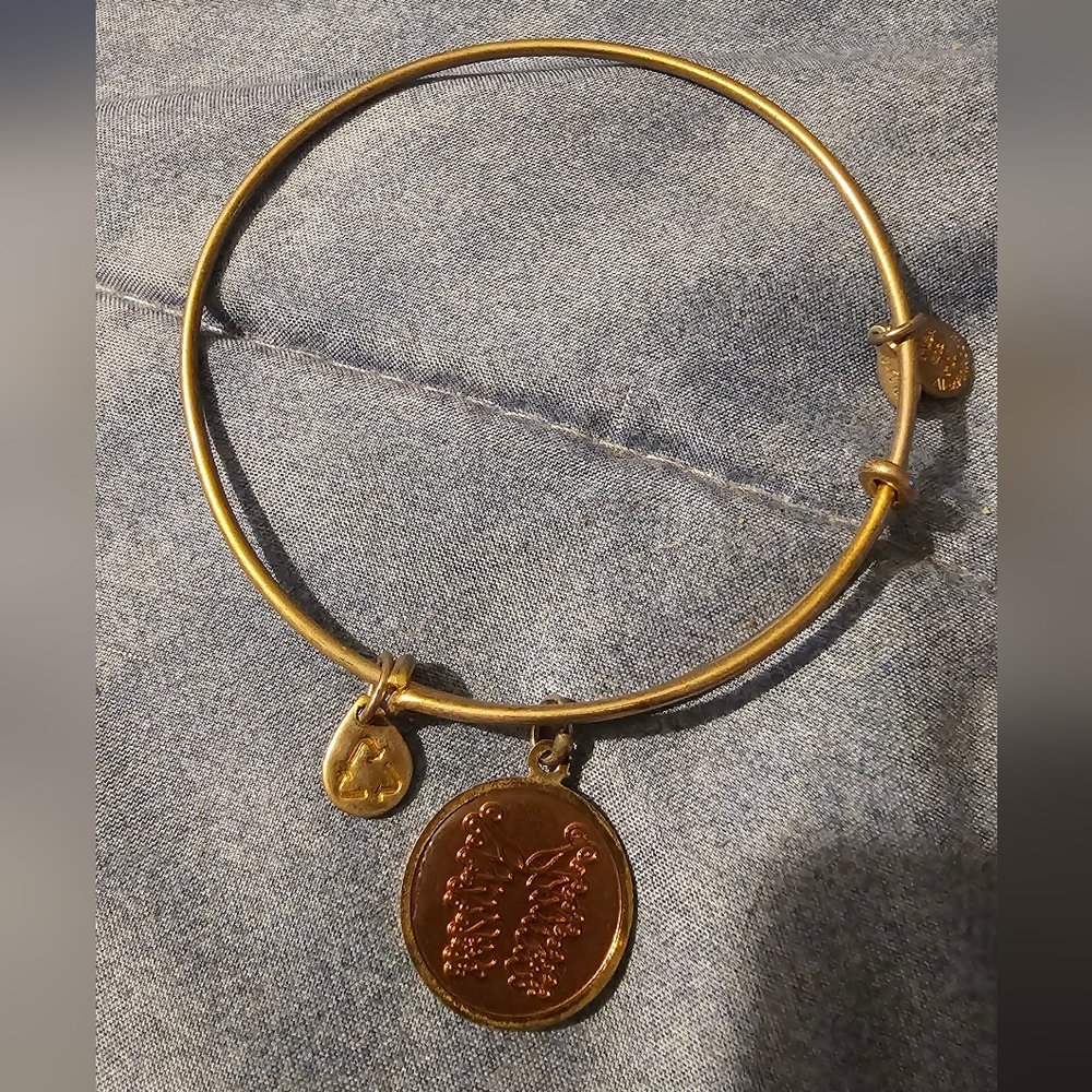 Gold Alex & Ani Expandable Bangle Bracelet with Medallion Charm